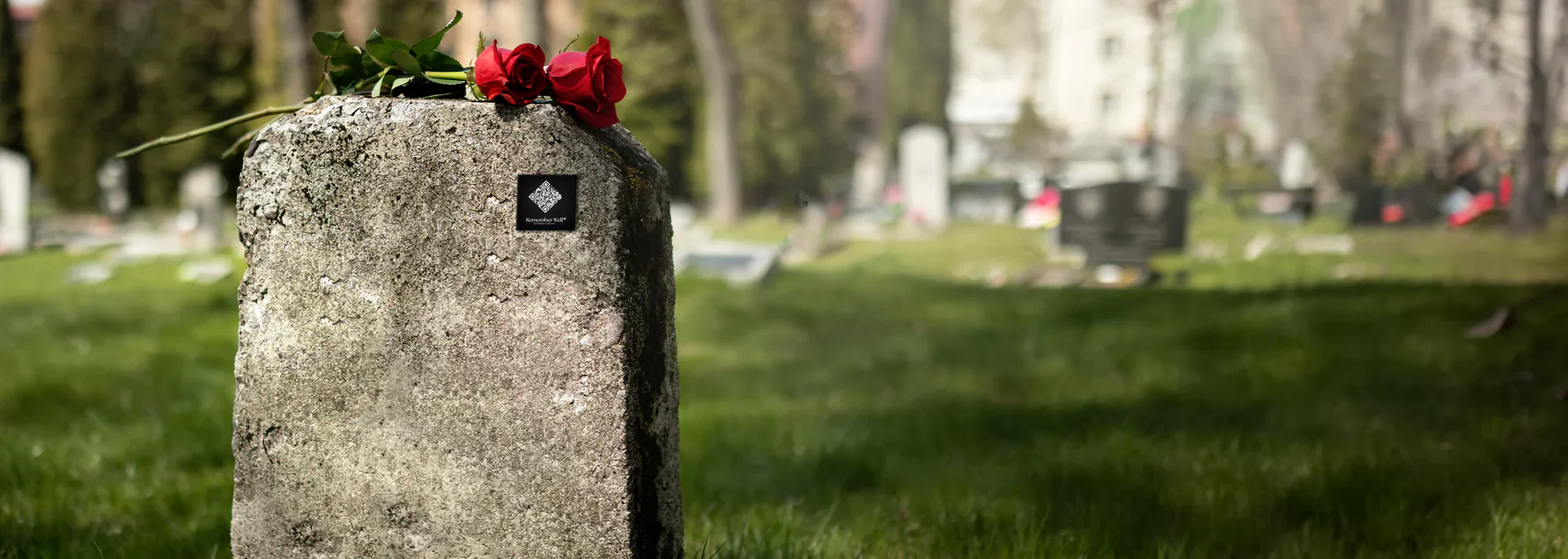 Cemetery with gravestone and red flowers
