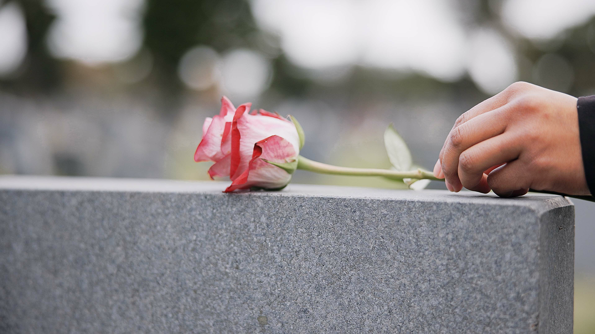 About Seen Forever | Digital Memorial Service UK